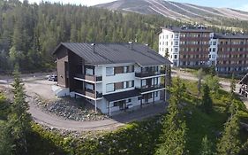 Villa Ylläs 101